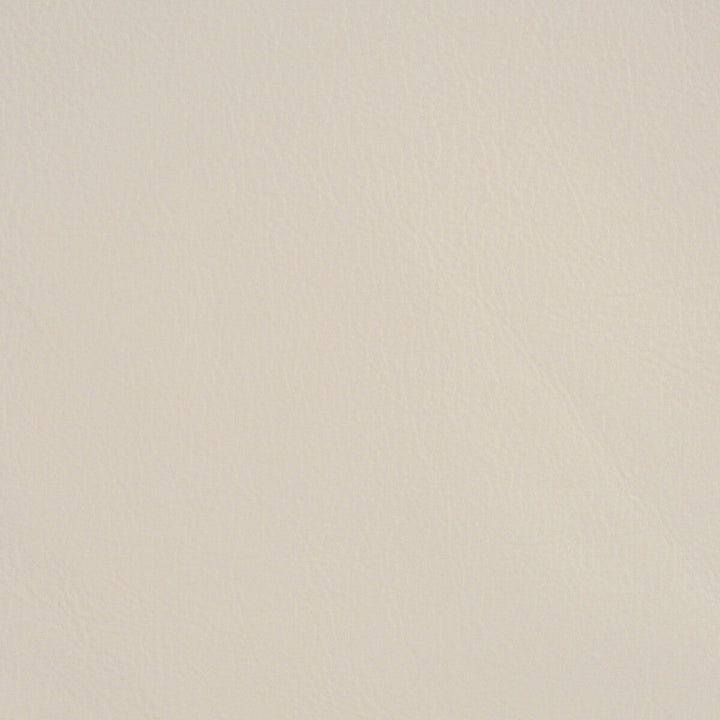 L-Spectrum-Moonbeam by Kravet Design Designer Fabric LEATHER - 100% United States LIGHT Horizontal: 0 and Vertical: 0 - Swanky Fabrics -