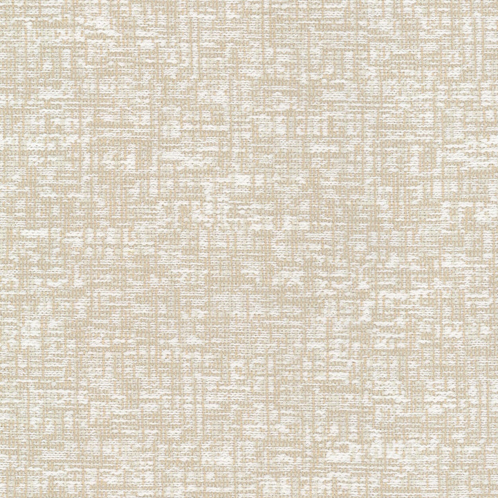 Laclouise 2 Champagne by Stout Fabric Stout Fabric Laclouise 2 ChampagneFabric RAINBOW LIBRARY ALMOND/GRANITE 100%POL CHINA </p><p>Repeat: H: 0.000, V: 0.000 55 in - Fabric Carolina -