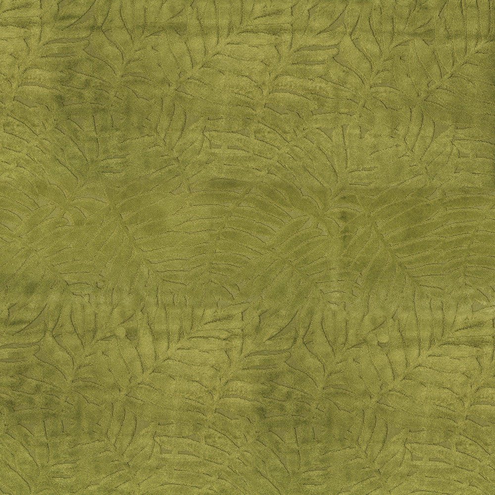 Lanai 205 Palm by ABBEYSHEA Designer Fabric 100% Polyester CN 50,000 Double Rubs (Wyzenbeek) </p><p>Repeat: Horizontal: 10.5 in. (26.5 cm) up the roll and Vertical: 13.98 in. (35.5 cm) across the roll 57 in. (145 cm) - Swanky Fabrics -