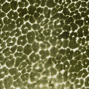 Magnolia Fabric Landon Olive
