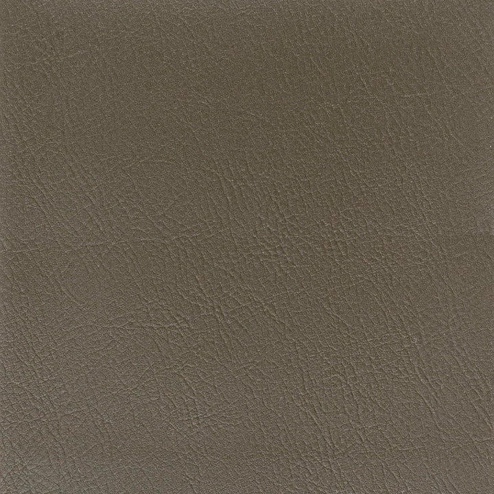 Lanister 2 Zinc by Stout Fabric Stout Fabric Lanister 2 ZincFabric LEATHER LOOKS IV 100%PVC CHINA </p><p>Repeat: H: 0.000, V: 0.000 54 in - Fabric Carolina -