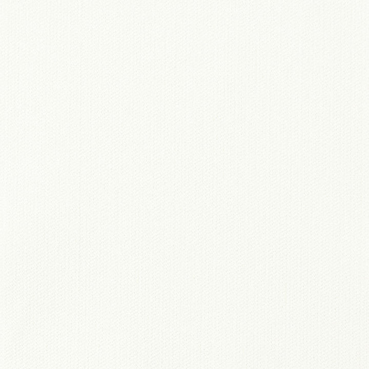 Lapse 4 Chalk by Crypton Fabric Crypton Fabric Lapse 4 ChalkFabric SOLID FOUNDATIONS CHINA </p><p>Repeat: H: 0.000, V: 0.000 54 in - Fabric Carolina -