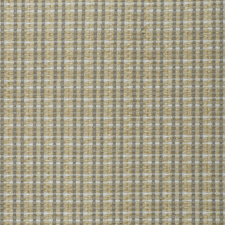 Mauregato Crudo by Gaston Y Daniela Fabric Gaston Y Daniela Fabric Mauregato CrudoFabric LORENZO CASTILLO V COTTON - 54%;POLYAMIDE - 28%;POLYESTER - 18% Italy </p><p>Repeat: H: 1.18, V: 1.18 54.33 - Fabric Carolina -