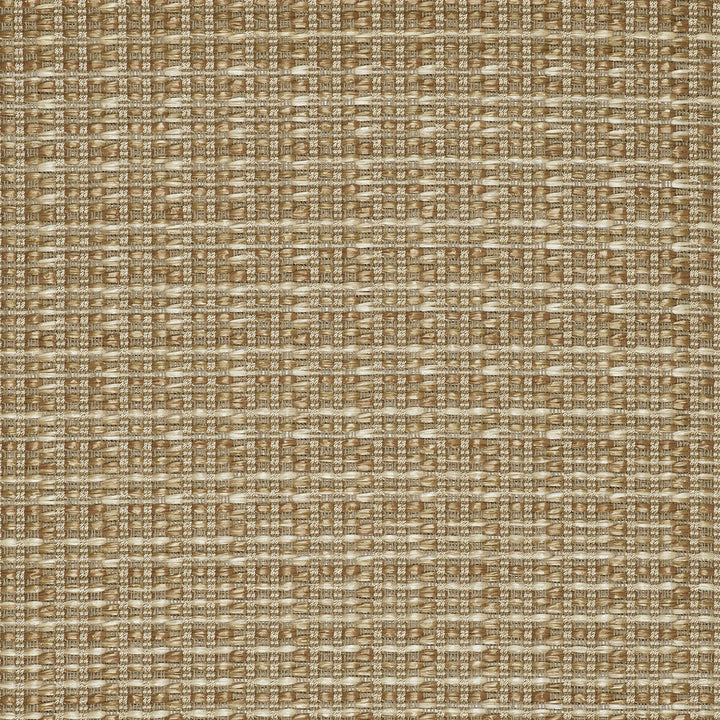 Mauregato Paja by Gaston Y Daniela Designer Fabric LORENZO CASTILLO V COTTON - 54%;POLYAMIDE - 28%;POLYESTER - 18% Italy HEAVY Horizontal: 1.18 and Vertical: 1.18 54.33 - Swanky Fabrics -