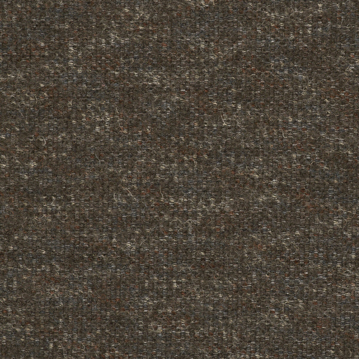 Favila Marron by Gaston Y Daniela Designer Fabric LORENZO CASTILLO V POLYESTER - 29%;COTTON - 23%;ACRYLIC - 16%;VISCOSE - 13%;POLYAMIDE - 12%;WOOL - 7% Italy HEAVY Horizontal: 0 and Vertical: 0 56 - Swanky Fabrics -