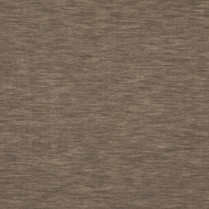 Meres Topo by Gaston Y Daniela Designer Fabric LORENZO CASTILLO V TREVIRA - 100% Italy HEAVY Horizontal: 0 and Vertical: 0 55.1 - Swanky Fabrics -