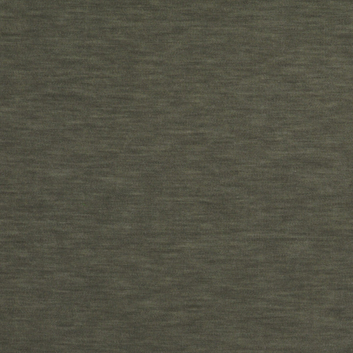 Meres Gris by Gaston Y Daniela Designer Fabric LORENZO CASTILLO V TREVIRA - 100% Italy HEAVY Horizontal: 0 and Vertical: 0 55.1 - Swanky Fabrics -