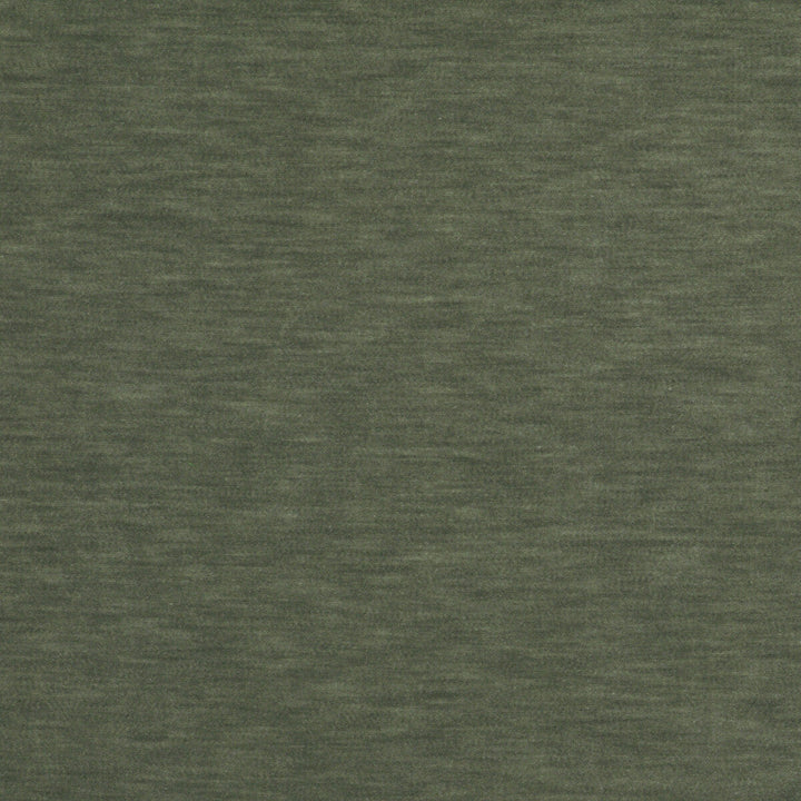 Meres Gris Esmeralda by Gaston Y Daniela Fabric Gaston Y Daniela Fabric Meres Gris EsmeraldaFabric LORENZO CASTILLO V TREVIRA - 100% Italy </p><p>Repeat: H: 0, V: 0 55.1 - Fabric Carolina -