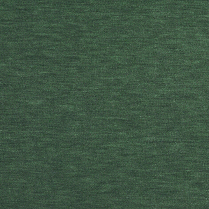 Meres Agua by Gaston Y Daniela Designer Fabric LORENZO CASTILLO V TREVIRA - 100% Italy HEAVY Horizontal: 0 and Vertical: 0 55.1 - Swanky Fabrics -