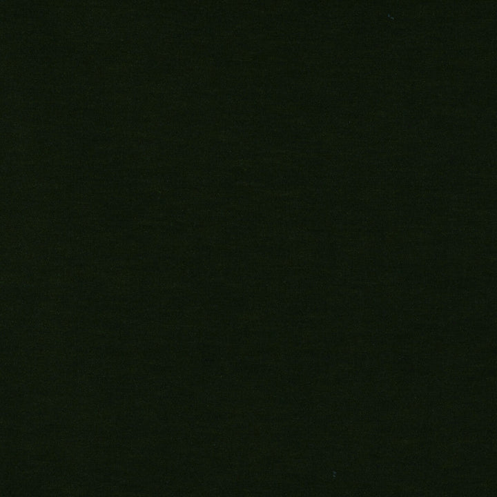 Meres Verde Botella by Gaston Y Daniela Designer Fabric LORENZO CASTILLO V TREVIRA - 100% Italy HEAVY Horizontal: 0 and Vertical: 0 55.1 - Swanky Fabrics -