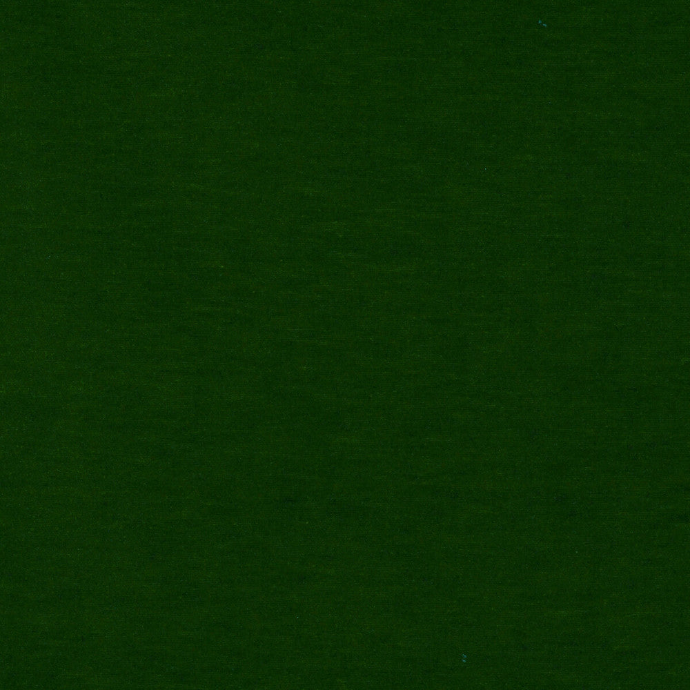 Meres Verde by Gaston Y Daniela Designer Fabric LORENZO CASTILLO V TREVIRA - 100% Italy HEAVY Horizontal: 0 and Vertical: 0 55.1 - Swanky Fabrics -
