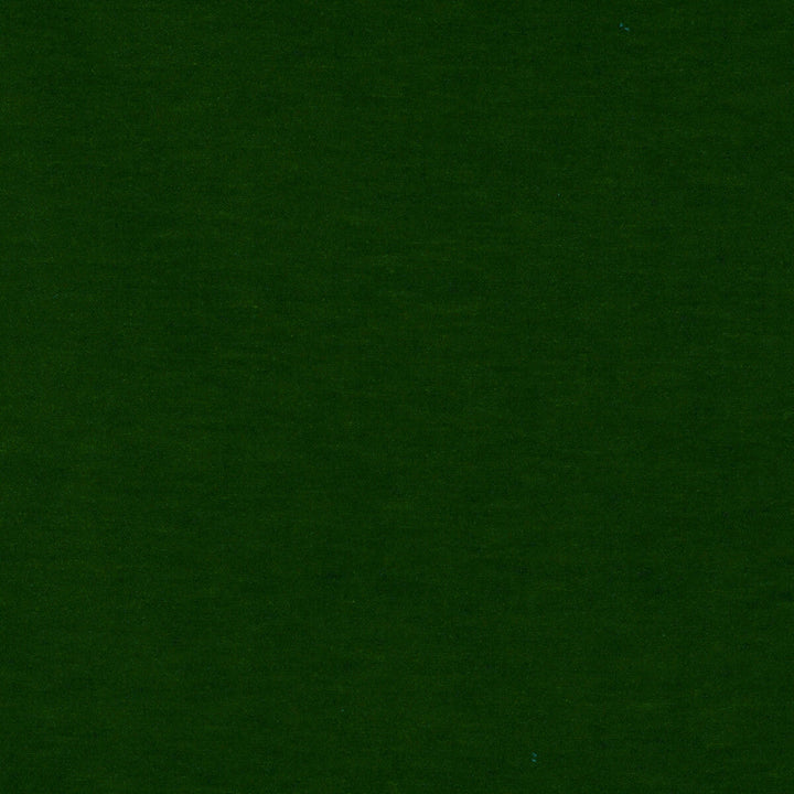 Meres Verde by Gaston Y Daniela Designer Fabric LORENZO CASTILLO V TREVIRA - 100% Italy HEAVY Horizontal: 0 and Vertical: 0 55.1 - Swanky Fabrics -
