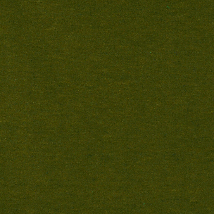 Meres Verde Claro by Gaston Y Daniela Designer Fabric LORENZO CASTILLO V TREVIRA - 100% Italy HEAVY Horizontal: 0 and Vertical: 0 55.1 - Swanky Fabrics -