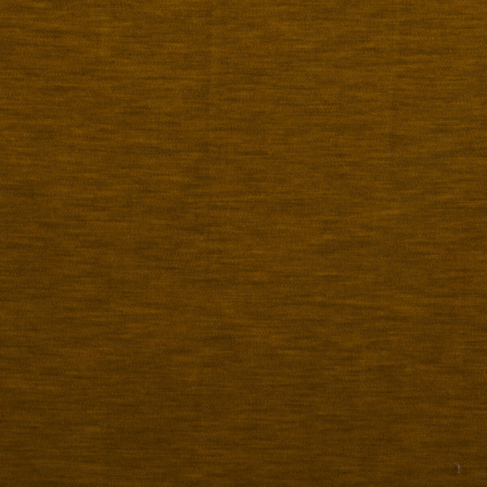 Meres Mostaza by Gaston Y Daniela Designer Fabric LORENZO CASTILLO V TREVIRA - 100% Italy HEAVY Horizontal: 0 and Vertical: 0 55.1 - Swanky Fabrics -