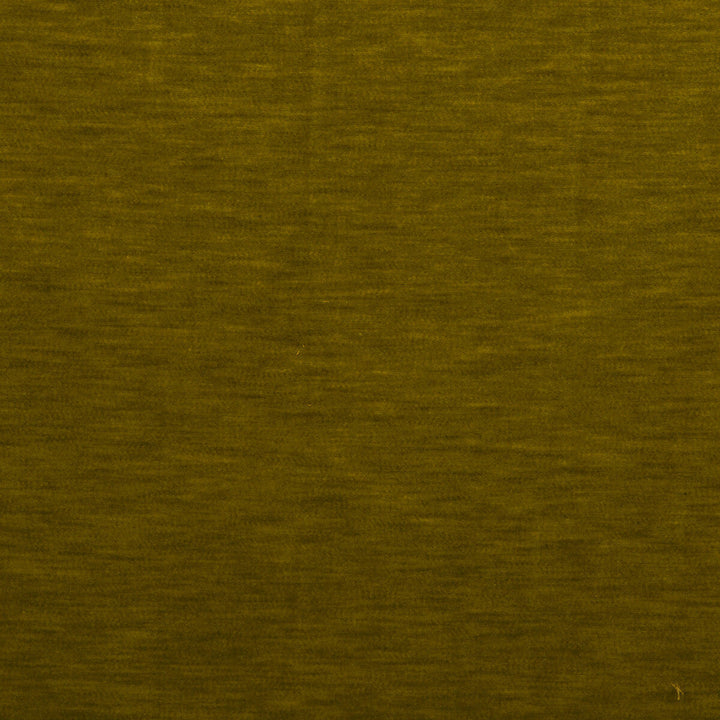Meres Aceite by Gaston Y Daniela Designer Fabric LORENZO CASTILLO V TREVIRA - 100% Italy HEAVY Horizontal: 0 and Vertical: 0 55.1 - Swanky Fabrics -