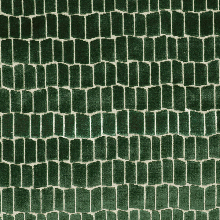 Maximo Verde by Gaston Y Daniela Designer Fabric LORENZO CASTILLO V VISCOSE - 75%;POLYESTER - 25% Belgium HEAVY Horizontal: 6.89 and Vertical: 4.84 54.33 - Swanky Fabrics -