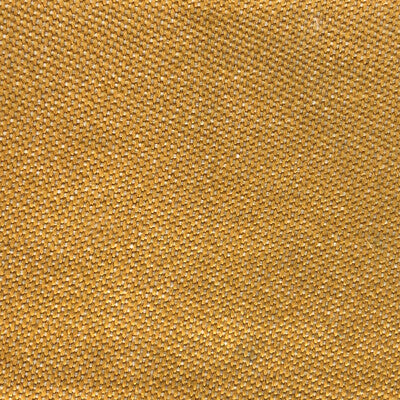 LCT1067.003.0 by Gaston Y Daniela Fabric Gaston Y Daniela Fabric LCT1067.003.0Fabric LORENZO CASTILLO VI POLYPROPYLENE - 100% Belgium </p><p>Repeat: H: 0, V: 0 61 - Fabric Carolina -