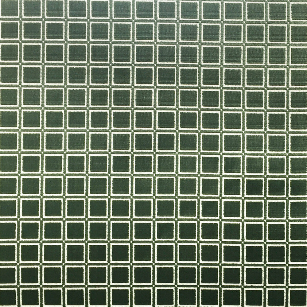 Buitrago Verde by Gaston Y Daniela Designer Fabric LORENZO CASTILLO IV VISCOSE - 92%;POLYESTER - 8% Belgium HEAVY Horizontal: 1.38 and Vertical: 1.38 54 - Swanky Fabrics -