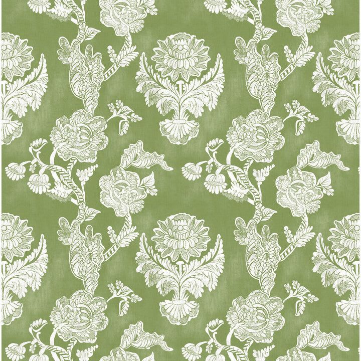 Chitina Verde by Gaston Y Daniela Designer Fabric LORENZO CASTILLO IV VISCOSE - 67%;LINEN - 33% Spain MEDIUM Horizontal: 26.87 and Vertical: 26 54 - Swanky Fabrics -