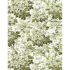 Gaston Y Daniela Wallpaper Vegacervera Wp Verde