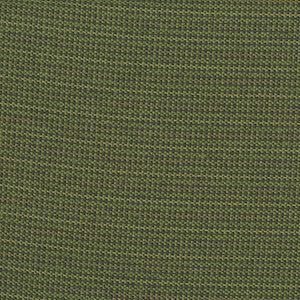 Crypton Fabric Legacy 702 Jungle