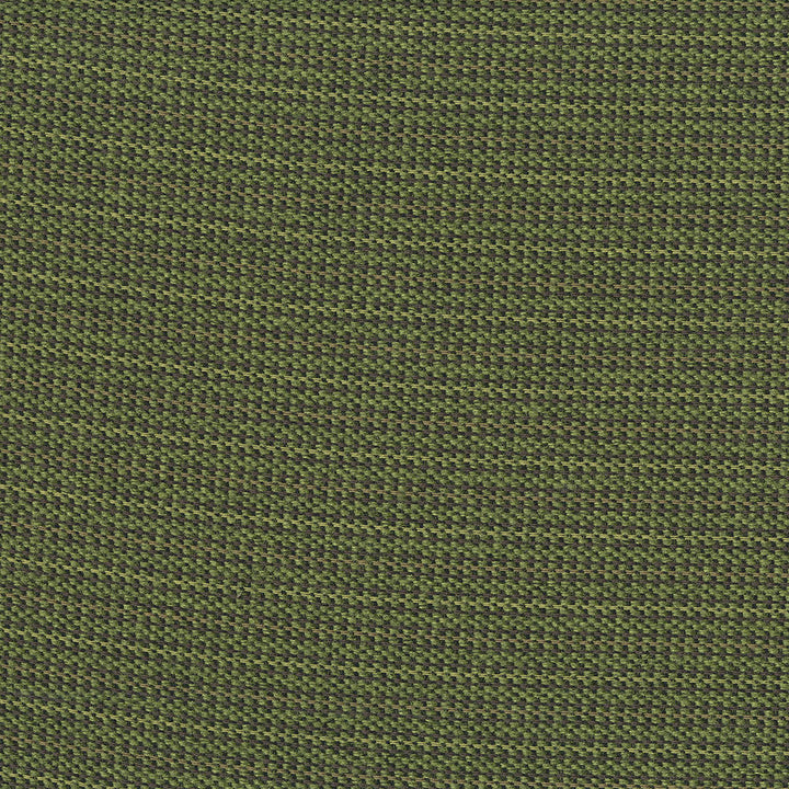 Legacy 702 Jungle by Crypton Designer Fabric 100% Polyester China 81,000 Double Rubs (Wyzenbeek) </p><p>Repeat: Horizontal: 0.8" (2.0 cm) Up the Roll and Vertical: 0.2" (0.5 cm) Across the Roll 56" (142 cm) - Swanky Fabrics -