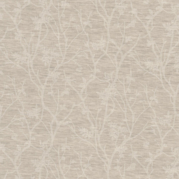 Leicester 2 Champagne by Stout Fabric Stout Fabric Leicester 2 ChampagneFabric LIGHT & LIVELY SHEERS 36%LIN 35%POL 29%COT INDIA </p><p>Repeat: H: 13.500, V: 14.500 54 in - Fabric Carolina -