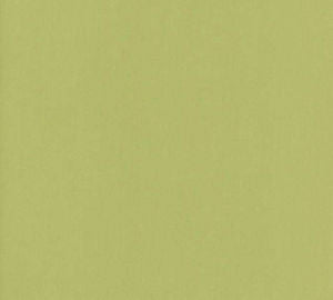 Lenox Celery by Norbar Designer Fabric 100% COMBED COTTON INDIA 54 - Swanky Fabrics -