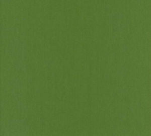 Lenox Kelly by Norbar Designer Fabric 100% COMBED COTTON INDIA 54 - Swanky Fabrics -