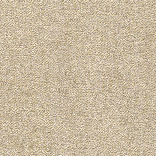 Lexington - Cord by Europatex Designer Fabric Lexington 100% Polyester China See Sample Horizontal: N/A and Vertical: N/A 56.00 inches  - Swanky Fabrics -