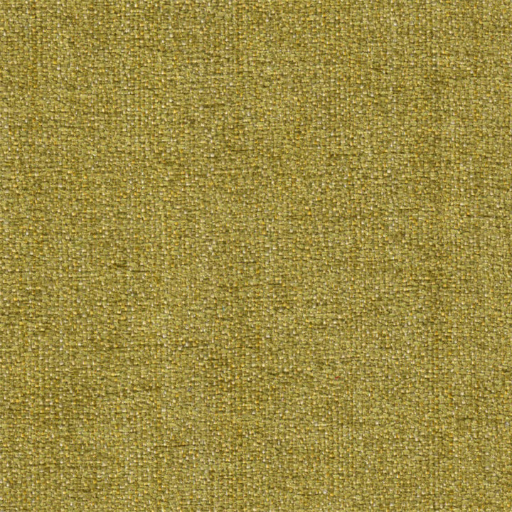 Lexington Keylime by Europatex Designer Fabric Lexington 100% Polyester 0.00" 55.00 inches - Swanky Fabrics -