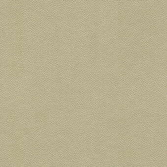Litestar Sand by Kravet Design Fabric Kravet Design Fabric Litestar SandFabric NYLON - 100% United States </p><p>Repeat: H: 0, V: 0 54 - Fabric Carolina -