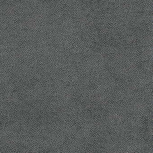 Kravet Fabric Litestar Iron