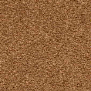 Kravet Fabric Litestar Copper