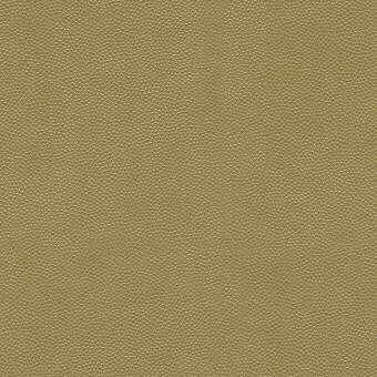 Litestar Gold by Kravet Design Fabric Kravet Design Fabric Litestar GoldFabric NYLON - 100% United States </p><p>Repeat: H: 0, V: 0 54 - Fabric Carolina -