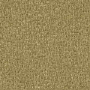 Kravet Fabric Litestar Gold