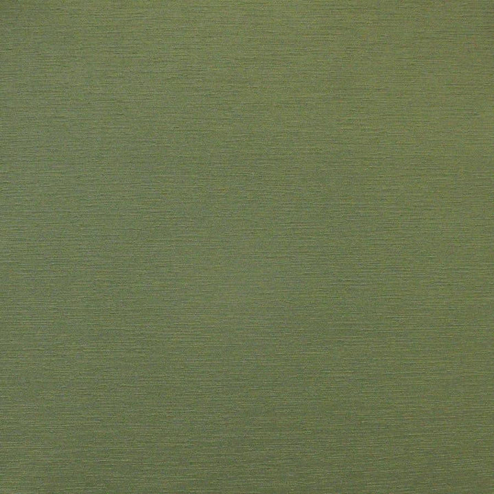Luxor # 777 Caper by Maxwell Designer Fabric Easy Rider Viii 100% PVC TAIWAN 54" - Swanky Fabrics -