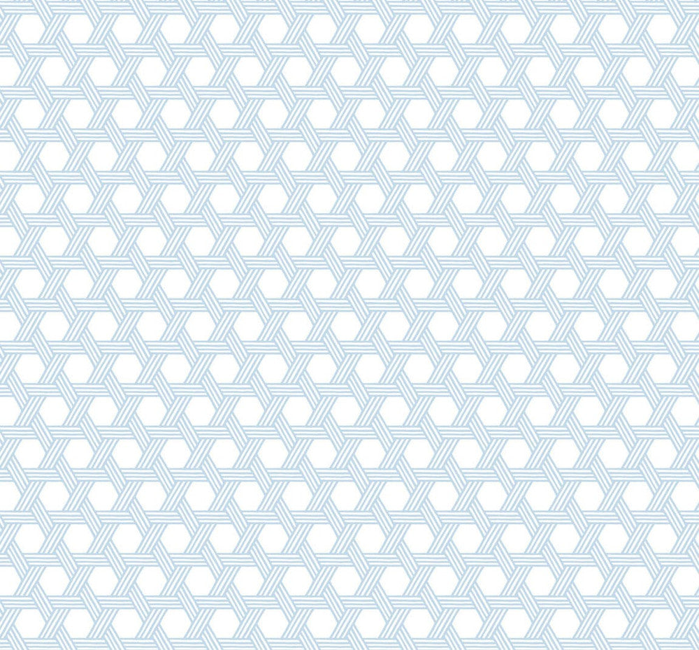 Cabana Wicker Carolina Blue and Eggshell LN10202 by Lillian August Designer Wallpaper