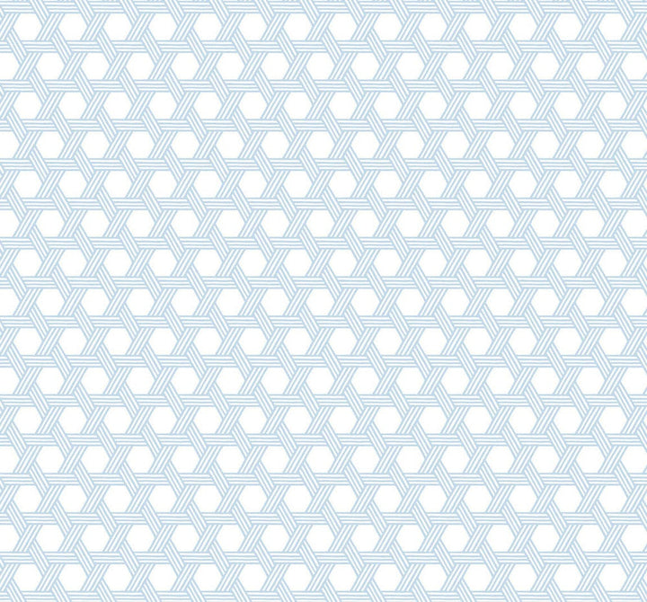 Cabana Wicker Carolina Blue and Eggshell LN10202 by Lillian August Designer Wallpaper
