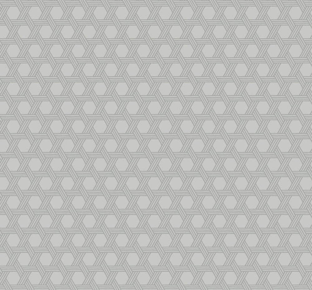 Cabana Wicker Cove Gray LN10208 by Lillian August Designer Wallpaper
