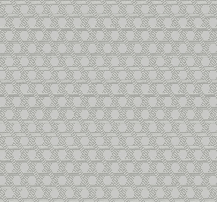 Cabana Wicker Cove Gray LN10208 by Lillian August Designer Wallpaper