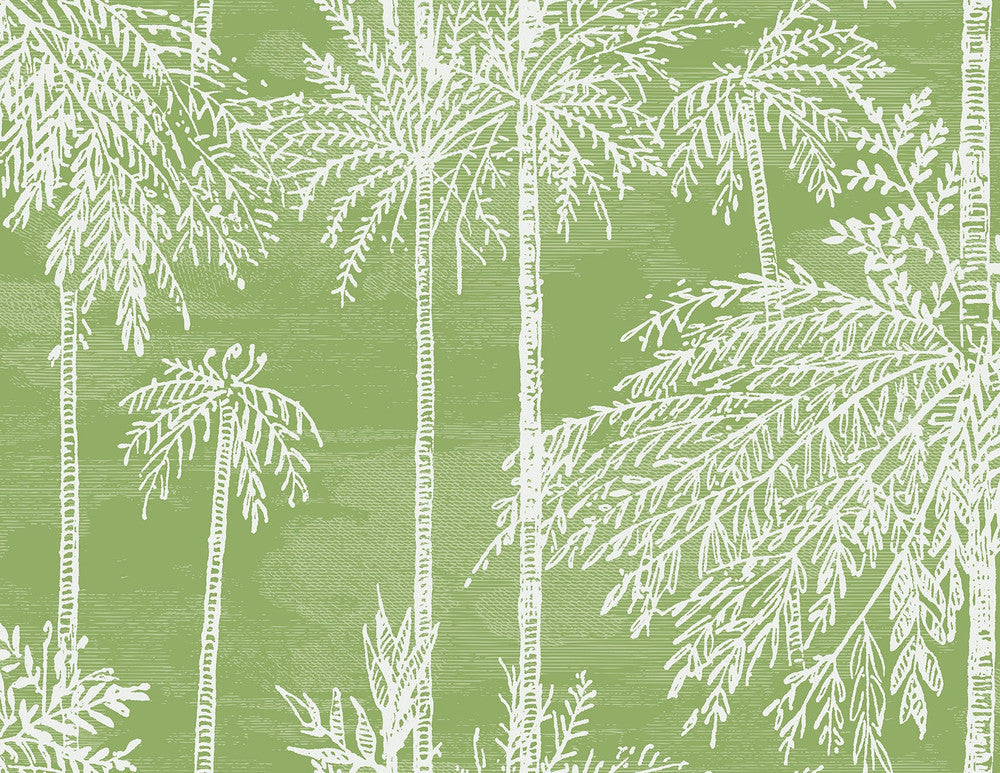 Palm Grove Summer Fern LN40204 by Lillian August Designer Wallpaper
