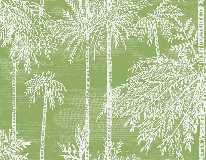 Palm Grove Summer Fern LN40204 by Lillian August Designer Wallpaper