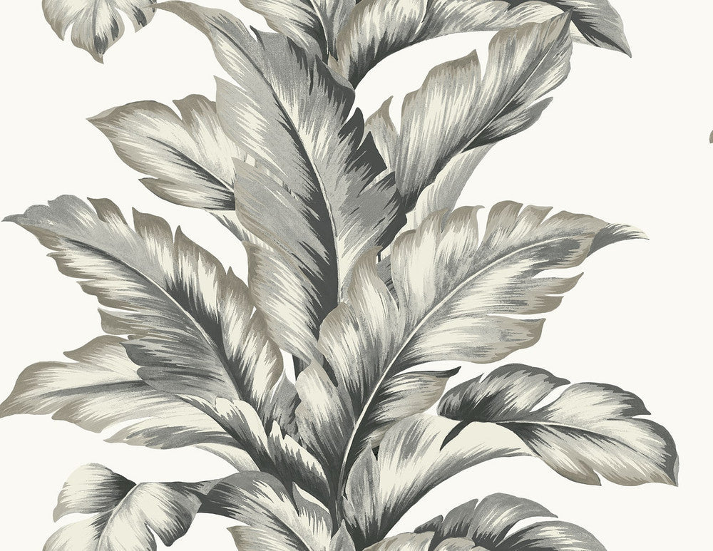 Banana Springs Greystone LN40600 by Lillian August Designer Wallpaper