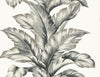 Lillian August Wallpaper Banana Springs Greystone LN40600
