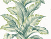 Lillian August Wallpaper Banana Springs Rivercrest LN40604