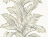 Lillian August Wallpaper Banana Springs Fieldstone LN40607