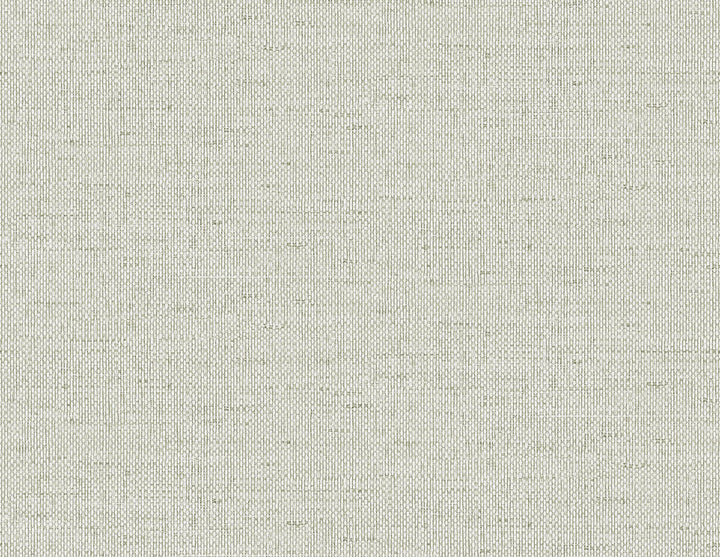 Kaya Faux Paperweave Lunar Rock LN41307 by Lillian August Designer Wallpaper