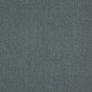Maxwell Fabric Light Year # 205 Goliath