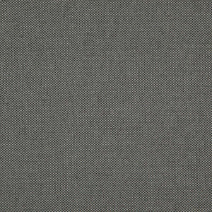 Maxwell Fabric Light Year # 206 Graphite